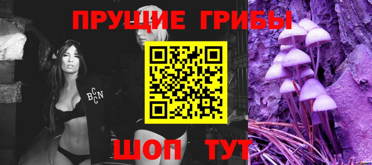 Псилоцибиновые грибы Psilocybe Павлово