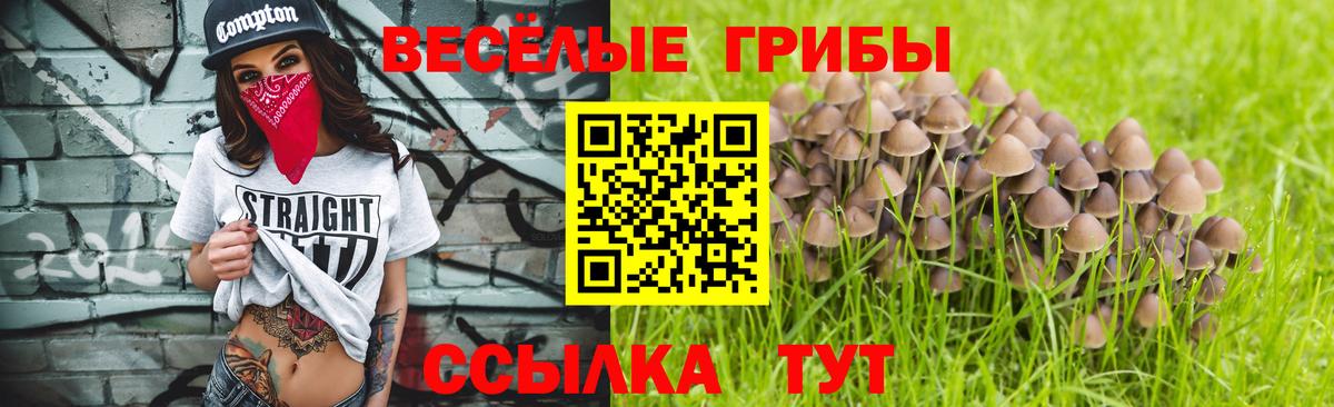 Галлюциногенные грибы GOLDEN TEACHER  Галлюциногенные грибы мухоморы  Павлово  Вход с VPN 